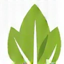 Icono de una hoja verde, simbolizando ingredientes naturales.